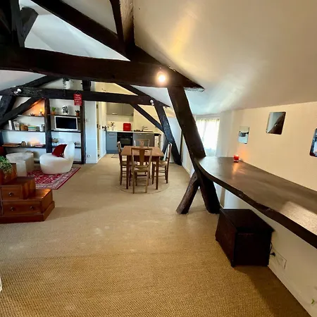 Apartment Cocon De Charme Au Coeur De Périgueux